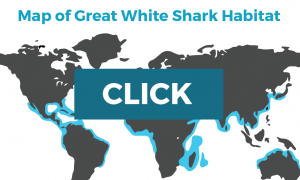 Great White Shark map