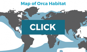 orca map