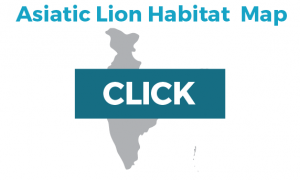 link to asiatic lion map