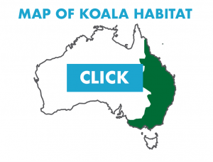 thumbnail of koala habitat map