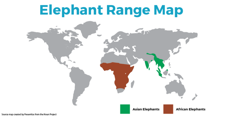 african elephant range map        
        <figure class=