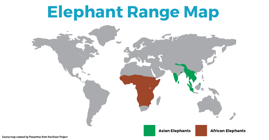 Elephants In Africa Map