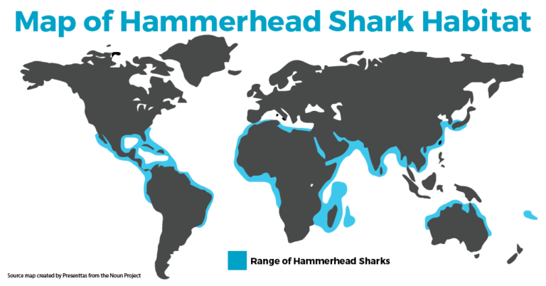 View Current Whale Shark Map And Habitat Range