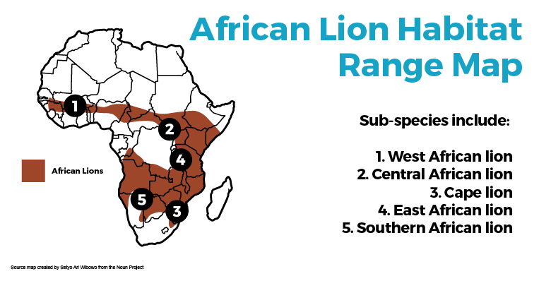 Where Do Lions Live Map