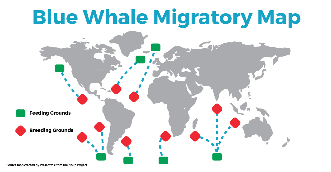orca travel map