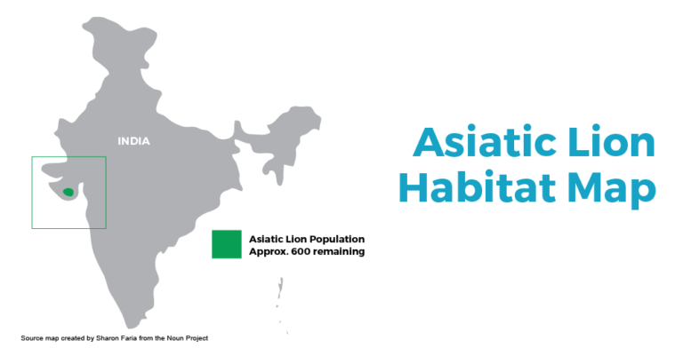 View the Asiatic Lion Map and Habitat Range in India's Gir Forest