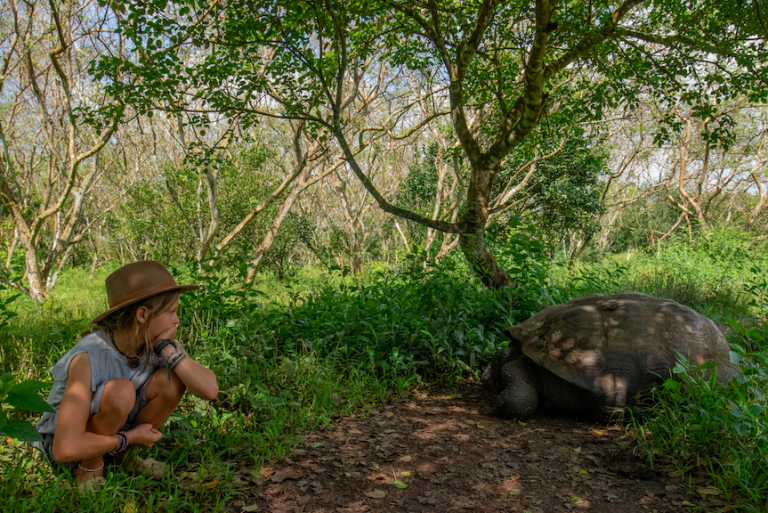 Galapagos Adventure Travel includes seeing the famed Giant Tortoise