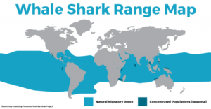 whale shark range map