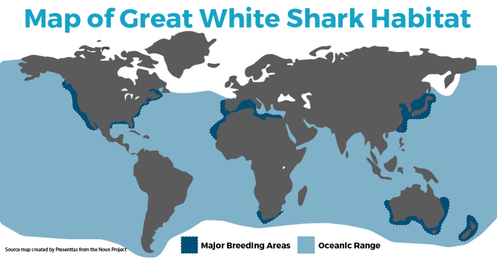 Great White Shark Tracking Atlantic Ocean Map 