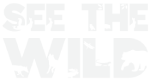 See The Wild logo