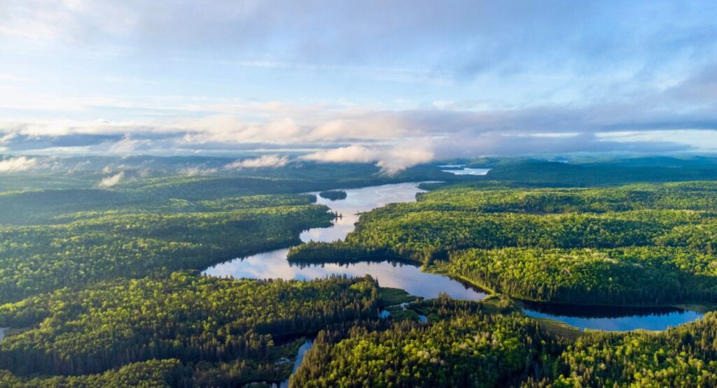 Algonquin Provincial Park aerial landscape with lakes